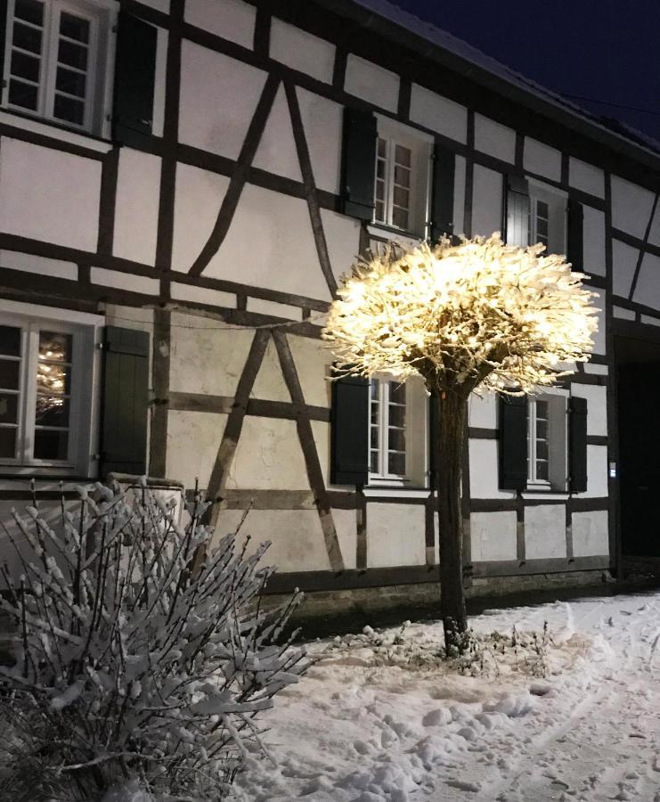 Gemuetliche Fachwerkwohnung Alfter Exterior foto